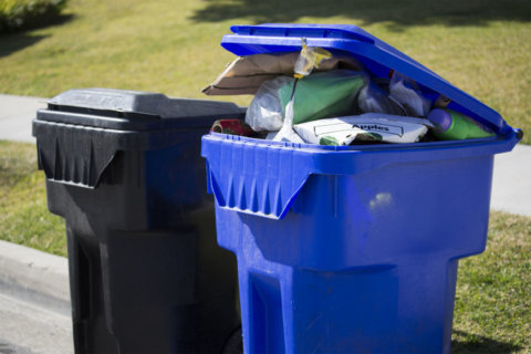 Sorting through the confusion: Recycling tips in the DC region