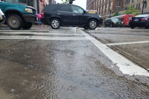 Thunderstorms bring much-needed rain to DC region