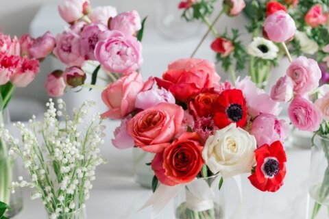 ‘Let’s just hope we can all make it through’: Virginia florist gives fired federal workers their flowers