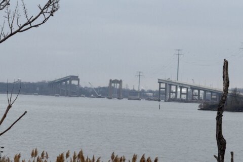 The Key Bridge, One Year Later: How life has changed in Baltimore Co. since the bridge collapse