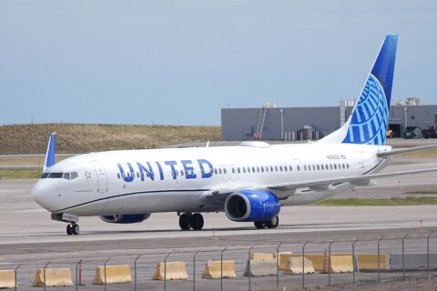 United flight from Houston appeared to hit a kite near Reagan National Airport