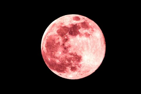 Will DC-area clouds block the view of this month’s full pink moon?