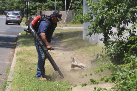 Northern Virginia city considers gas-powered leaf blower ban