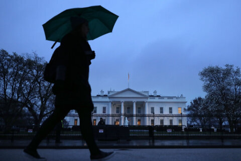 Cloudy Saturday sets up for rainy, stormy Sunday in the DC area