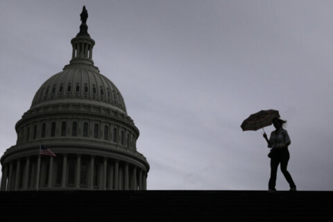 ‘Mild and muggy’: Storms possible Sunday night in DC region