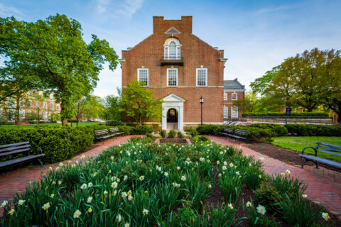 Johns Hopkins to slash more than 2,200 workers as Trump cuts federal funding