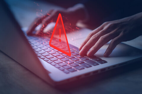 Anne Arundel Co. government closes buildings, halts some public services following ‘cyber incident’