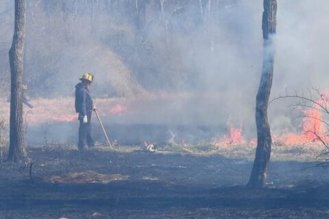 ‘Outdoor burning is not recommended’: DC area under red flag warning, increased risk of fires