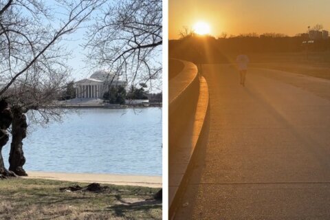 Did you know the DC area actually experiences 12 seasons?