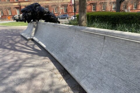 ‘Very heavy responsibility’: 345 names added to DC’s National Law Enforcement Officers Memorial