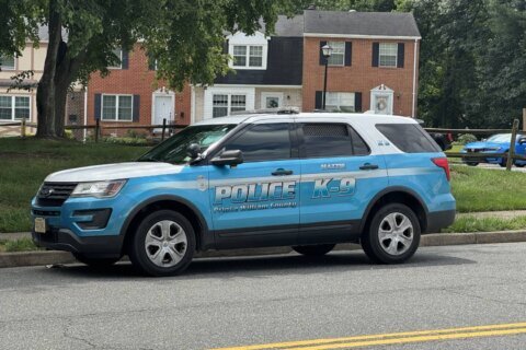Beating with bamboo stick breaks Manassas child’s arm; parents left injury untreated, police say