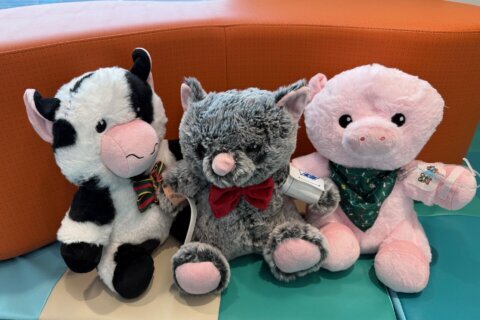 Inova Loudoun plans teddy bear clinic to make doctor’s visits less scary for young kids