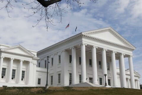 In Virginia primary election, most action is in lieutenant governor races