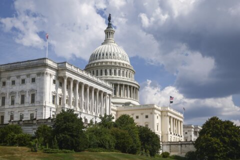 Unease over tariffs in Congress, but will lawmakers take action?