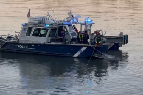 Woman rescued after plunging car into Potomac River